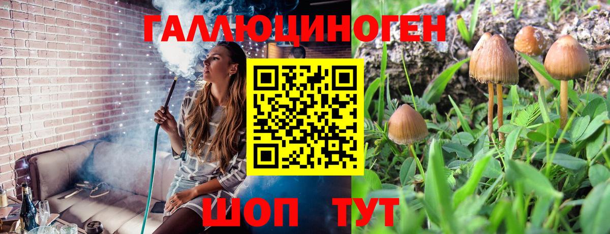 Галлюциногенные грибы GOLDEN TEACHER Усолье-Сибирское